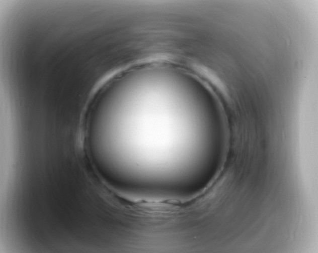 X0000099581316200805231543