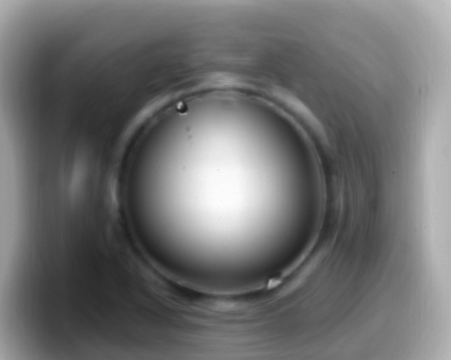 X0000099581318200805231543