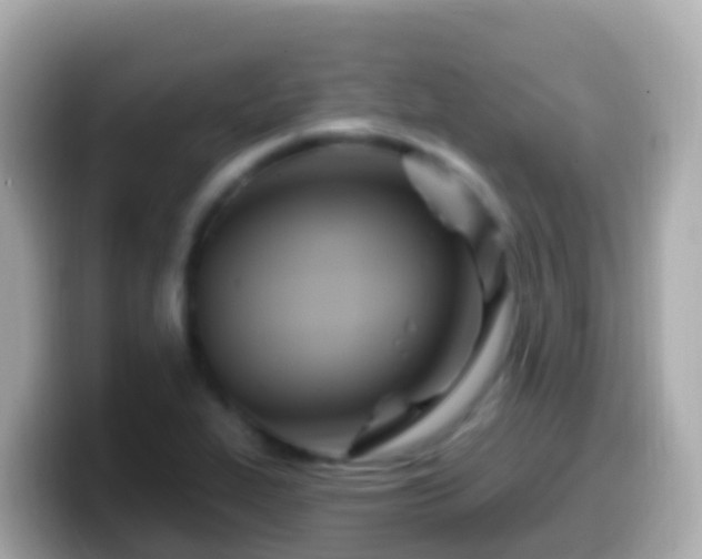 X0000099581319200805231543