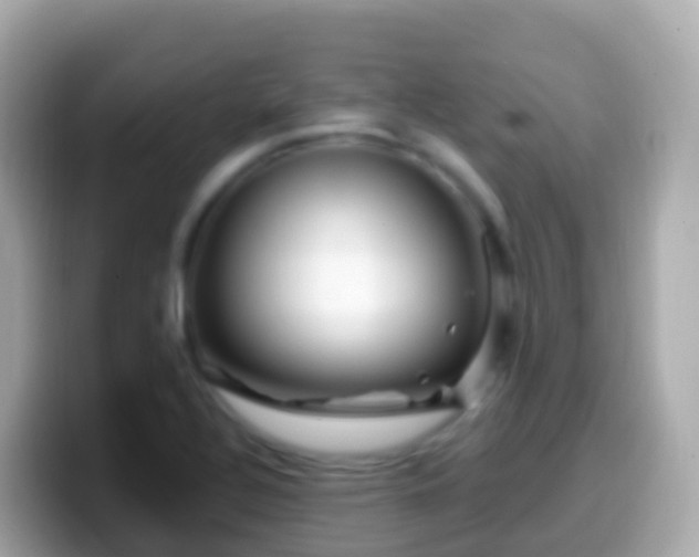 X0000099581320200805231543