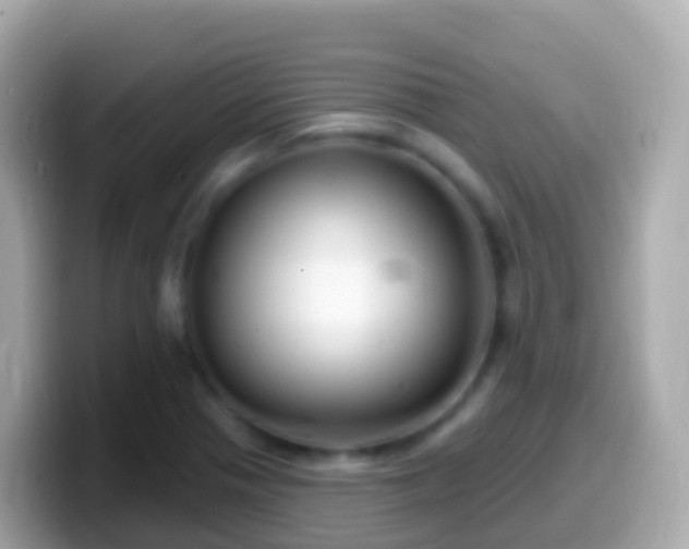 X0000099581321200805231543