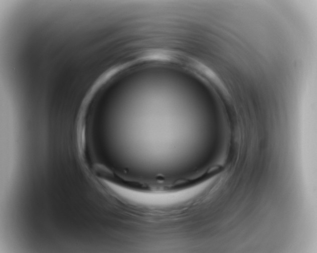 X0000099581323200805231543