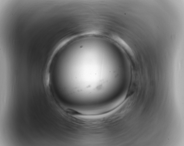 X0000099581324200805231543