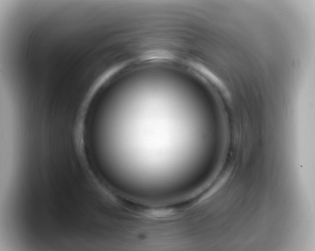 X0000099581325200805231543