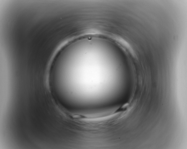 X0000099581326200805231543
