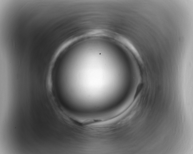 X0000099581328200805231543