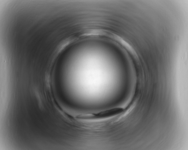 X0000099581329200805231543