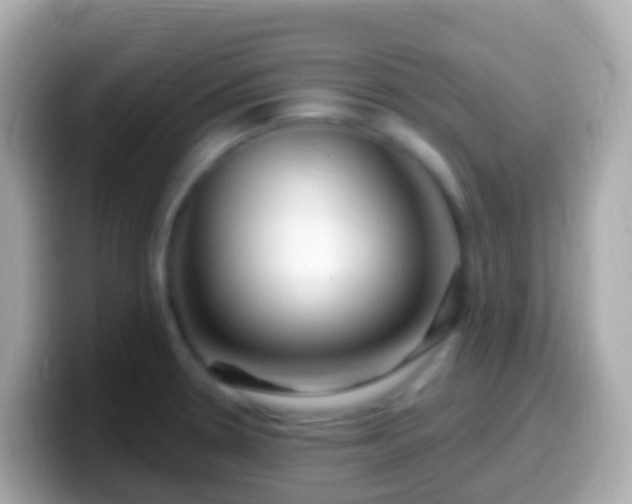 X0000099581330200805231543