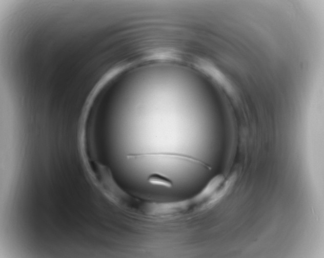 X0000099581331200805231543