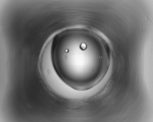 X0000099581332200805231543