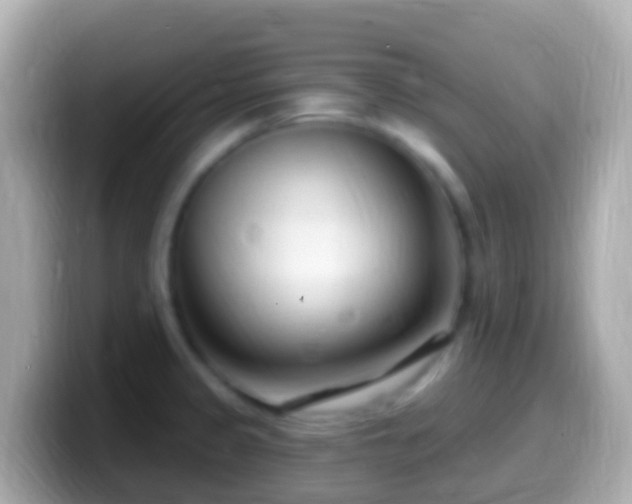 X0000099581333200805231543