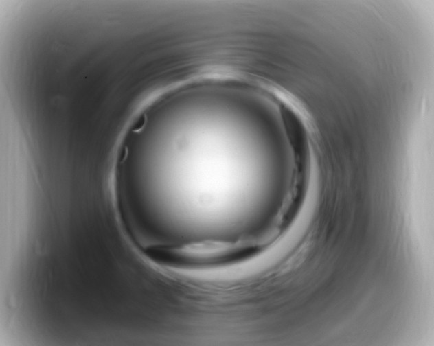 X0000099581334200805231543