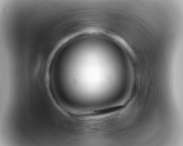 X0000099581335200805231543