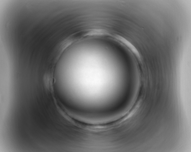 X0000099581337200805231543