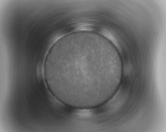 X0000099581338200805231543