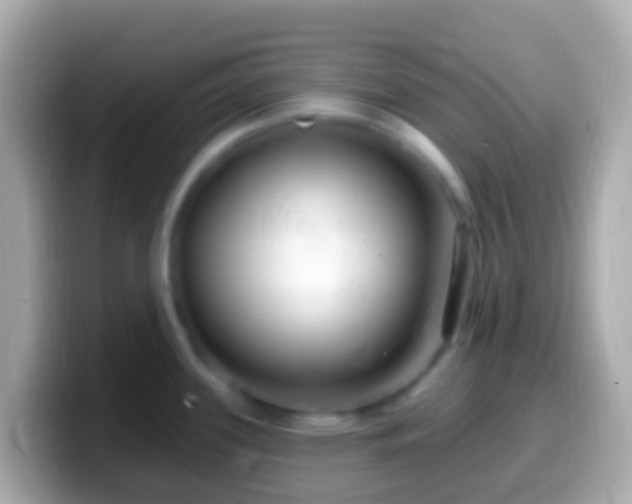 X0000099581339200805231543