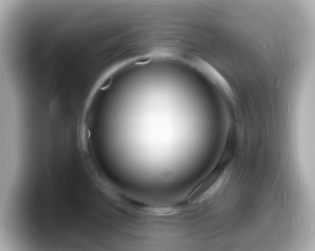 X0000099581340200805231543