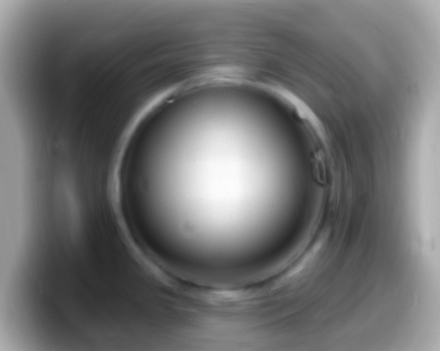 X0000099581341200805231543