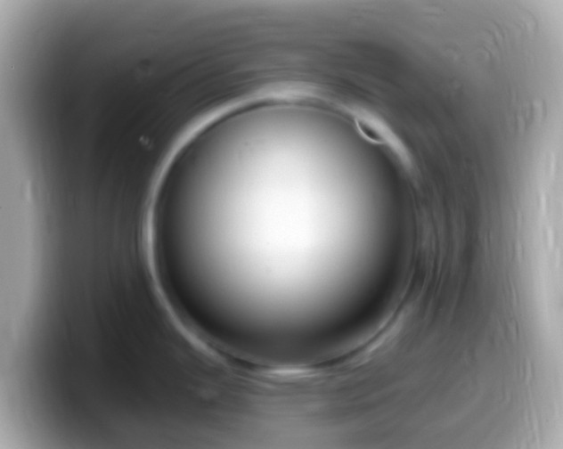 X0000099581343200805231543