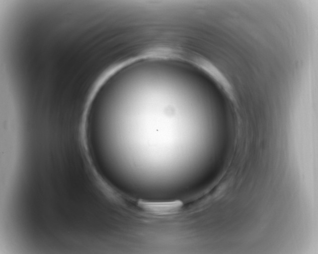X0000099581344200805231543