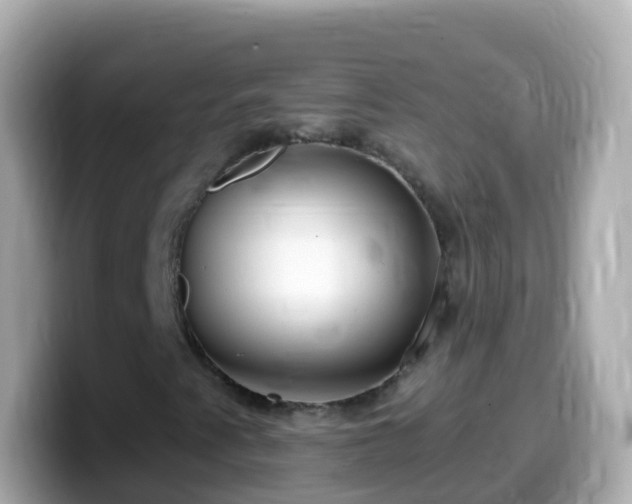X0000099581345200805231542