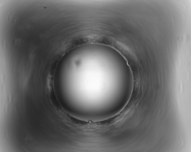 X0000099581346200805231542