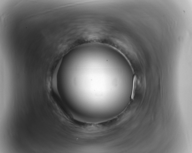 X0000099581348200805231542