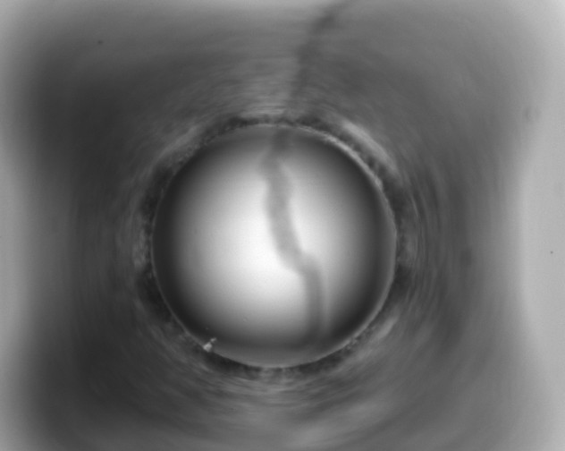 X0000099581350200805231542