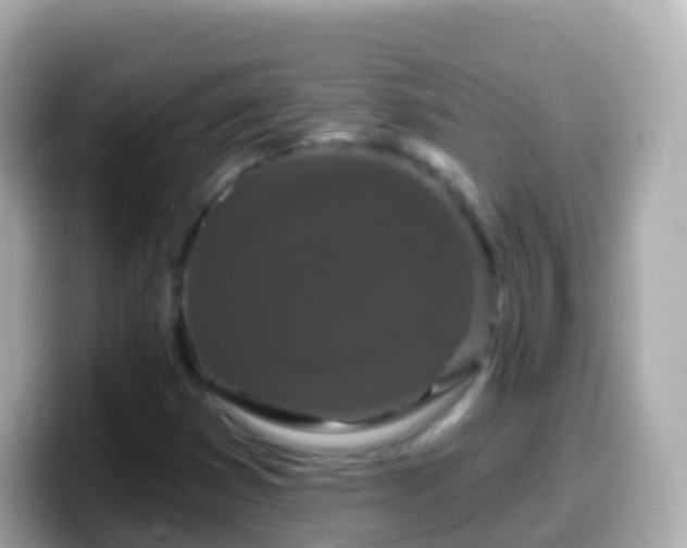 X0000099581353200805231542