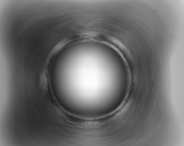 X0000099581354200805231542