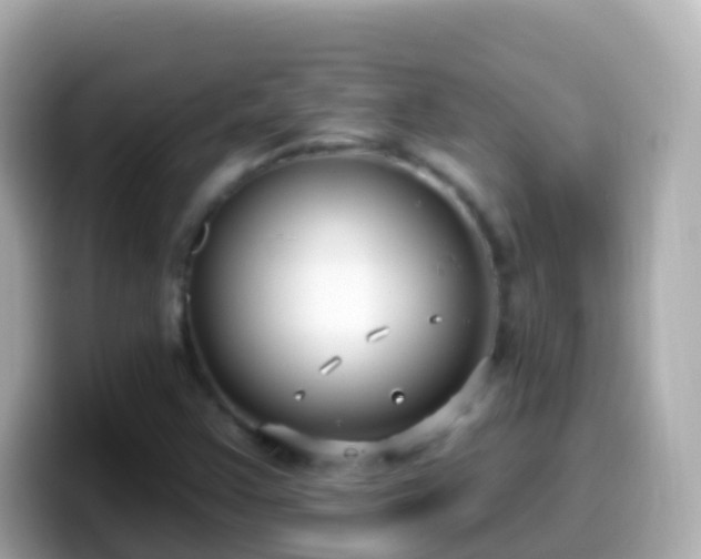 X0000099581355200805231542