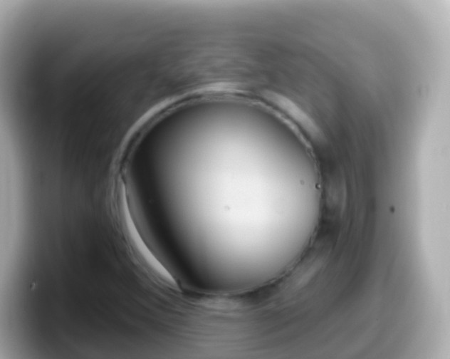 X0000099581356200805231542