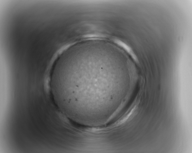 X0000099581357200805231542