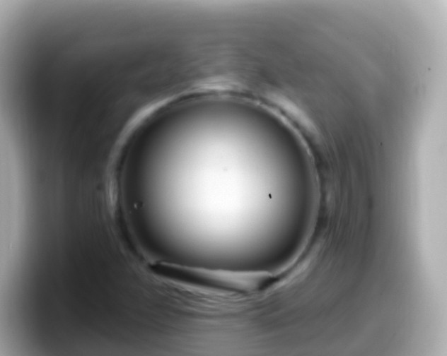 X0000099581358200805231542