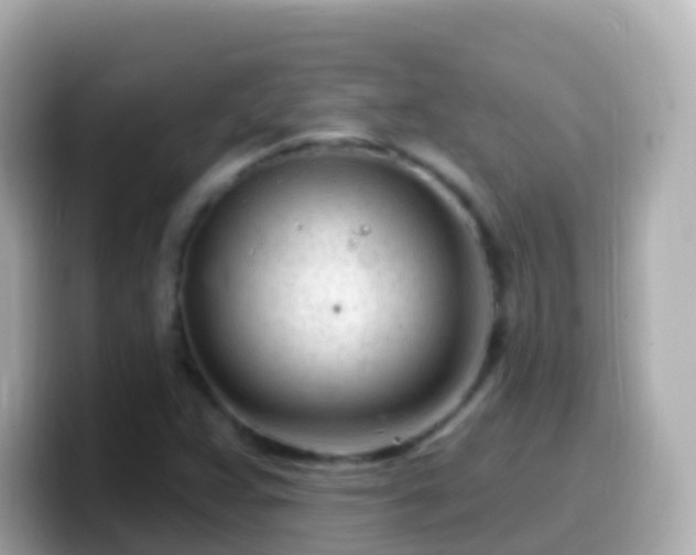 X0000099581359200805231542