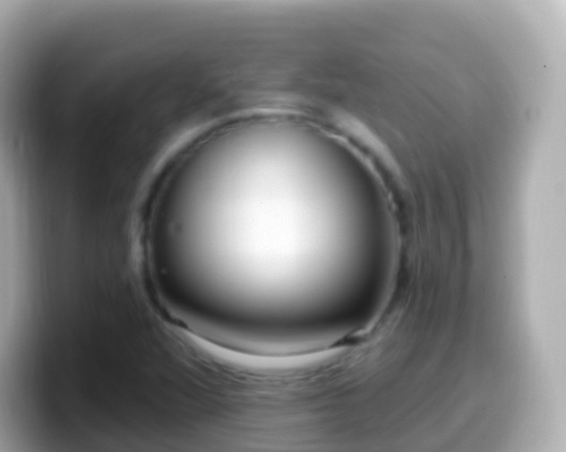X0000099581360200805231542
