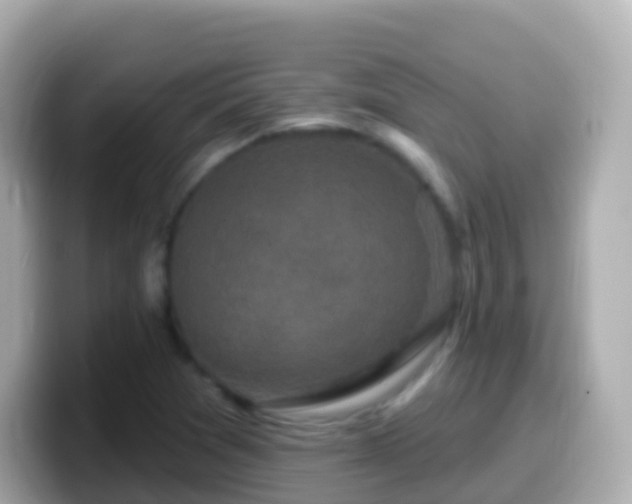 X0000099581361200805231542