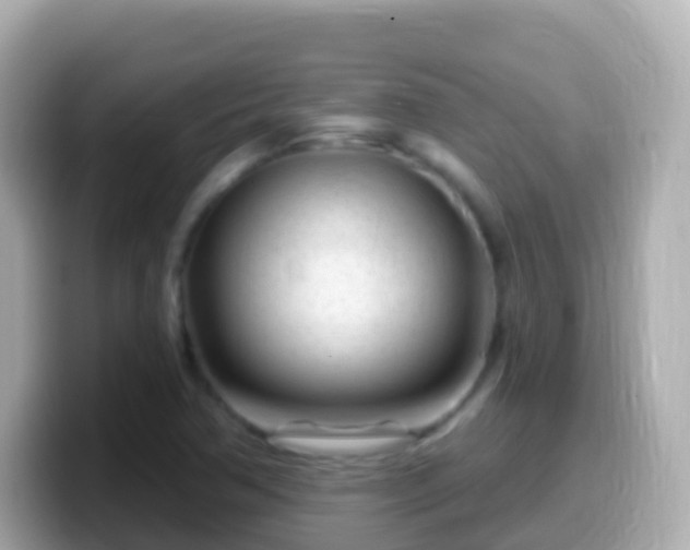 X0000099581362200805231542