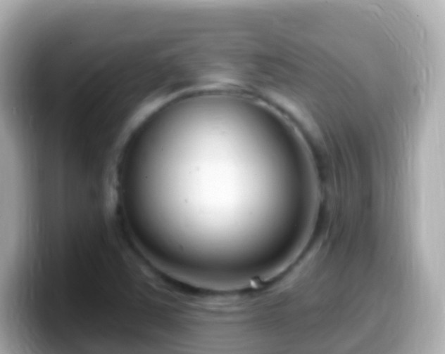 X0000099581363200805231542