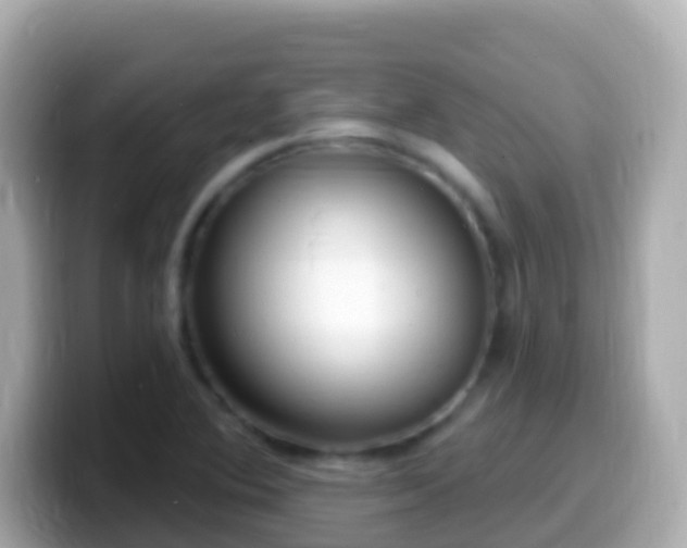 X0000099581364200805231542
