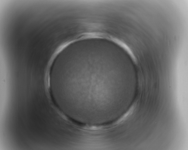 X0000099581365200805231542