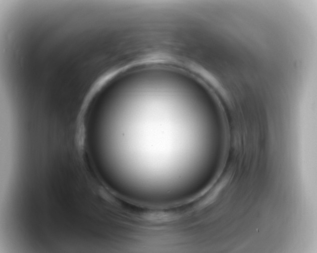 X0000099581366200805231542