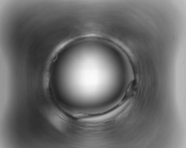 X0000099581367200805231542