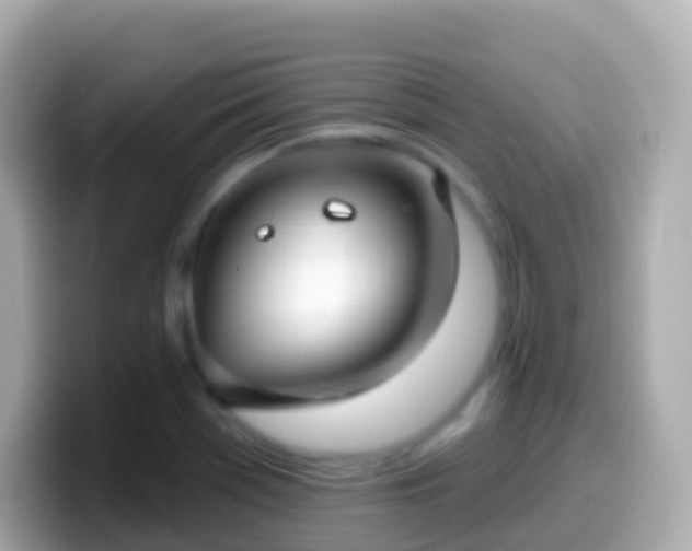 X0000099581369200805231542