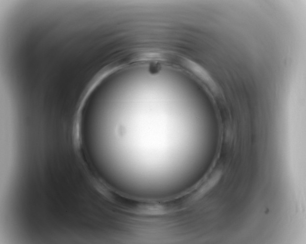 X0000099581370200805231542