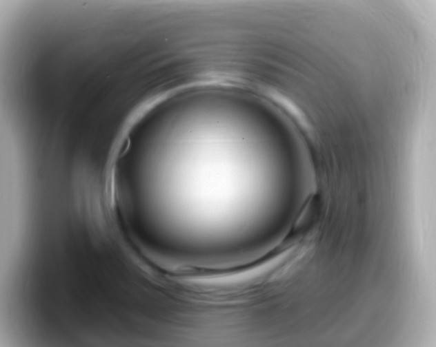 X0000099581371200805231542
