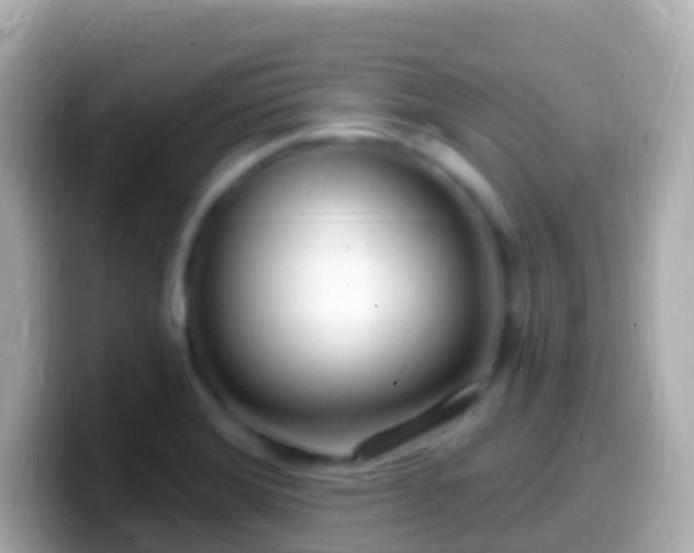 X0000099581372200805231542