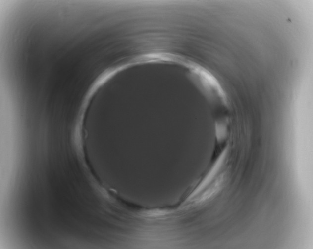 X0000099581373200805231542