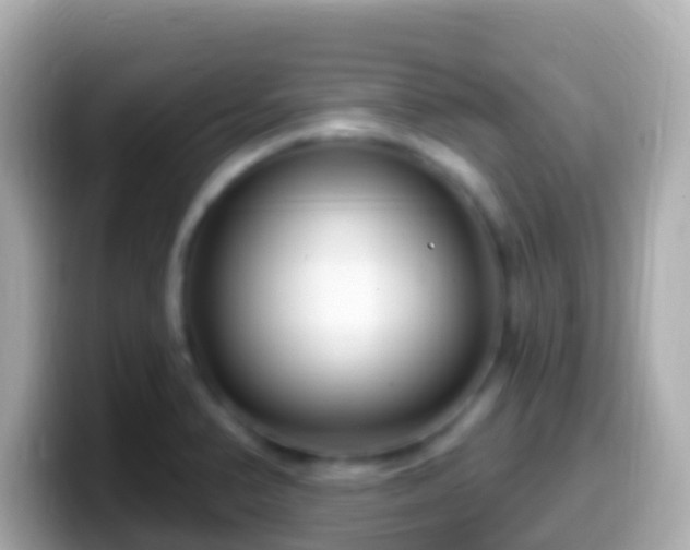 X0000099581374200805231542