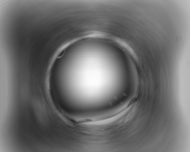 X0000099581375200805231542